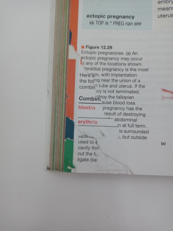 Medical Terminology Complete 4th Ed 9780134701226 - see description gallery