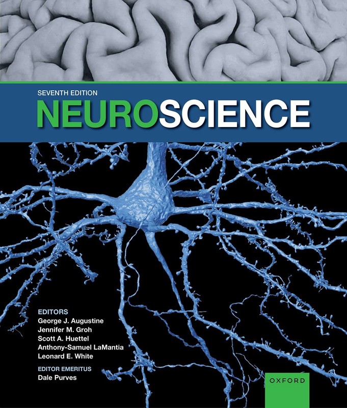 Neuroscience by Augustine