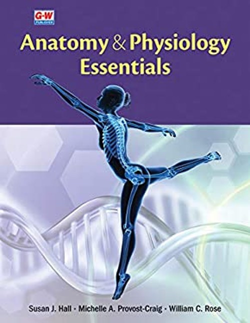 Anatomy and Physiology Essentials Paperback