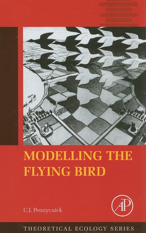 Modelling the Flying Bird (Theoretical Ecology Series)