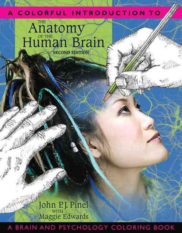 Colorful Introduction to the Anatomy of the Human Brain, A: A Brain and Psycholo