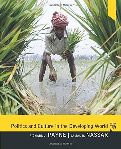POLITICS AND CULTURE IN THE DEVELOPING WORLD By Richard J Payne & Jamal Nassar