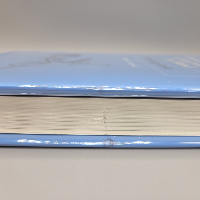 Bookbinding and Conservation by Hand: A Working Guide by Laura Young 1995 HCDJ gallery