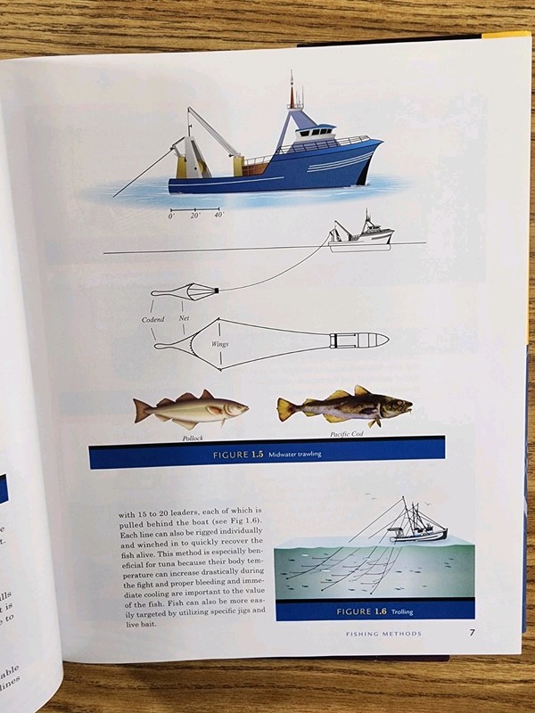 Kitchen Pro Series: Guide to Fish, Seafood & Poultry Identification, Fabrication gallery