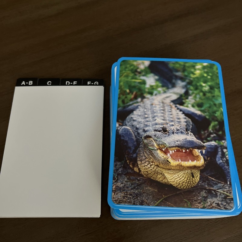 Reading Vocabulary Cards Reading Picture K Kindergarten Early Education Pearson gallery