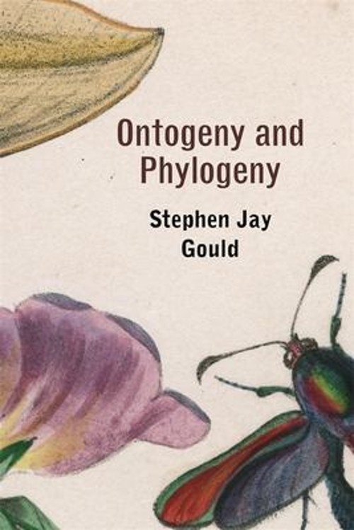Ontogeny and Phylogeny Paperback Stephen Jay Gould