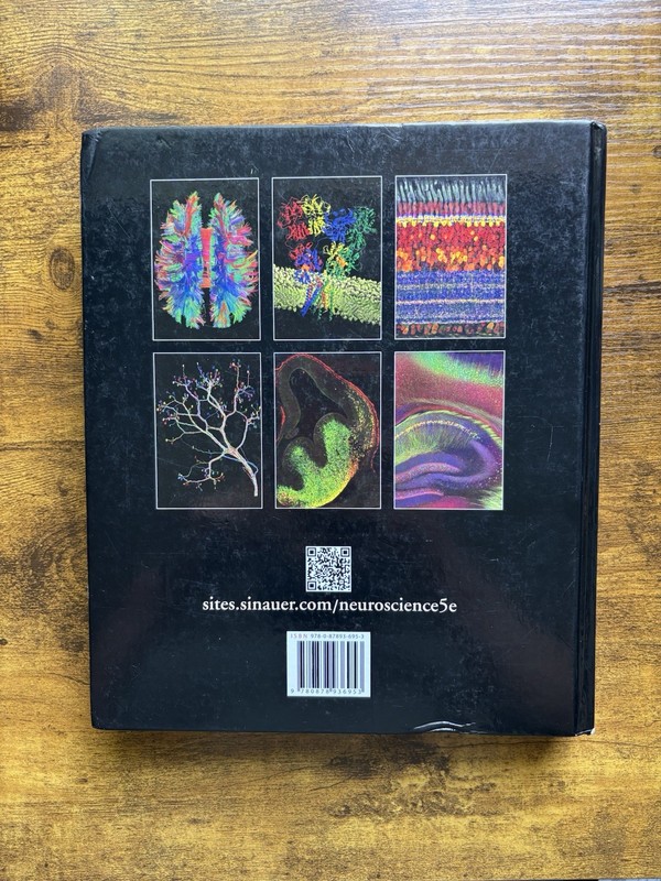 Neuroscience (2011, Hardcover) gallery