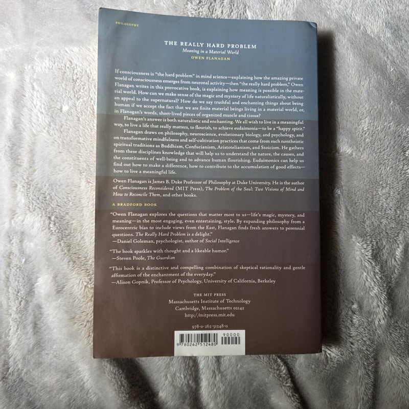 The Really Hard Problem: Meaning in a Material World (Bradford Books) gallery
