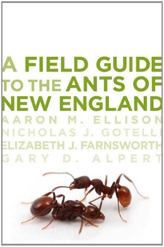 A FIELD GUIDE TO THE ANTS OF NEW ENGLAND By Aaron M. Ellison & Gotelli Nicholas