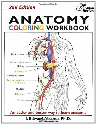 Anatomy Coloring Workbook: Bk. 2 (Princeton Re… by Alcamo, I. Edward Paperback