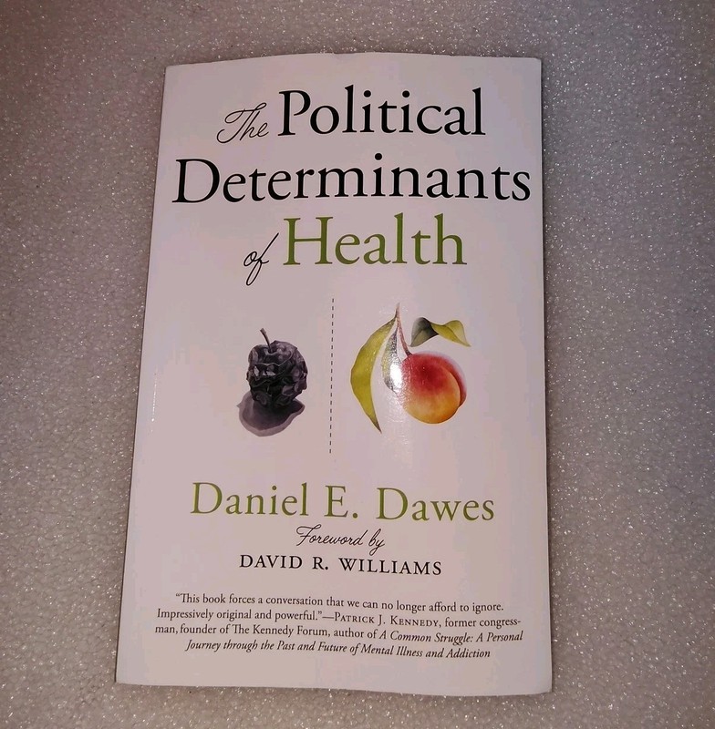 The Political Determinants of Health – Paperback By Dawes, Daniel E.