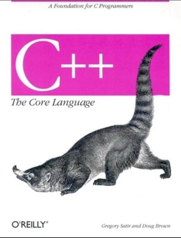 C++ the Core Language : A Foundation for C Programmers Paperback