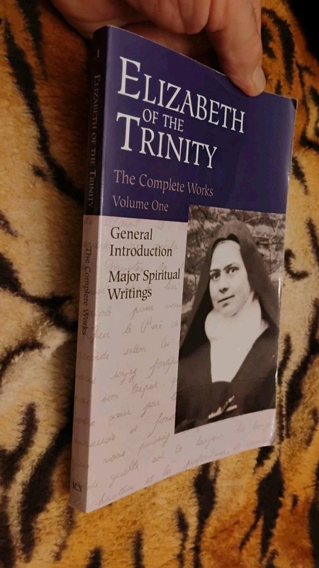 The Complete Works of Elizabeth of the Trinity, Vol. 1: + Spiritual Doctrine gallery