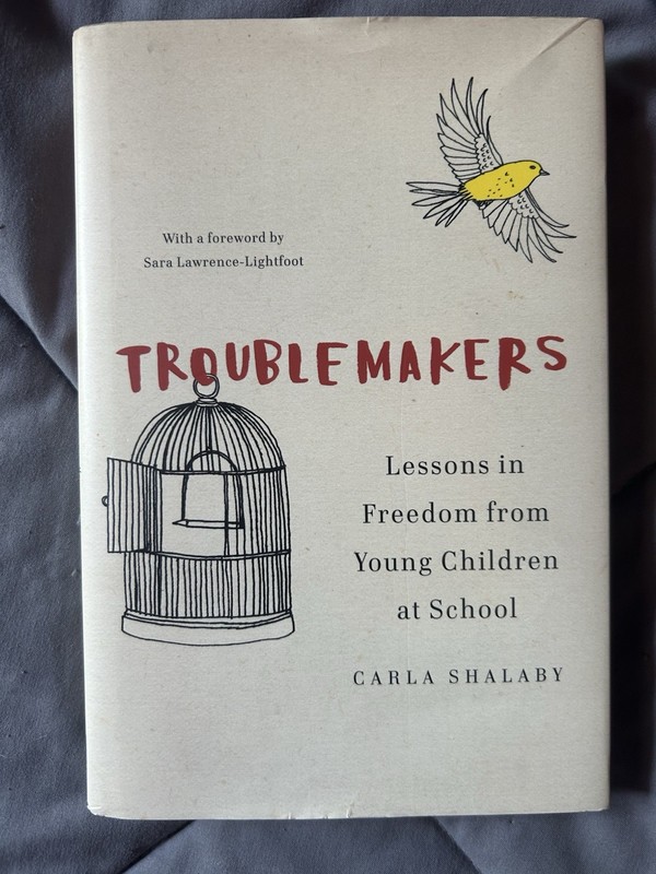 Troublemakers Lessons in Freedom from Young Children at School by Carla Shalaby