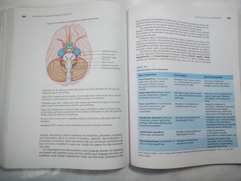 Introduction to Communication Disorders: A Lifespan Evidence Based Perspective 6 gallery
