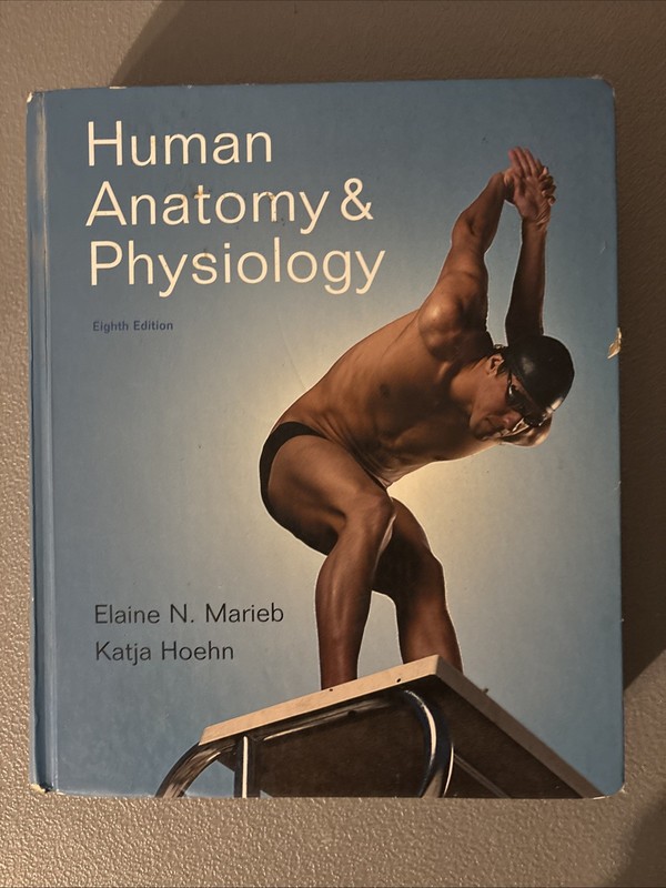 Human Anatomy & Physiology 8th Edition Elaine N. Marieb And Katja Hoehn Book