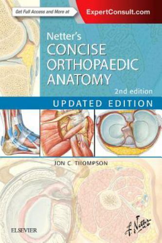 Netter’s Concise Orthopaedic Anatomy, Paperback by Thompson, Jon C., M.D.; Ne…