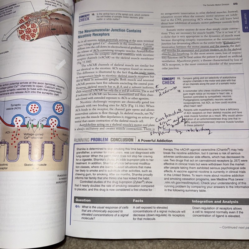 Human Physiology : An Integrated Approach by Dee Unglaub Silverthorn (2014,... gallery