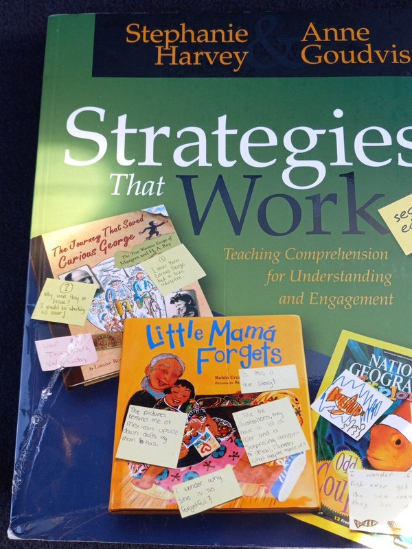 Strategies That Work : Teaching Comprehension FREE SHIPPING