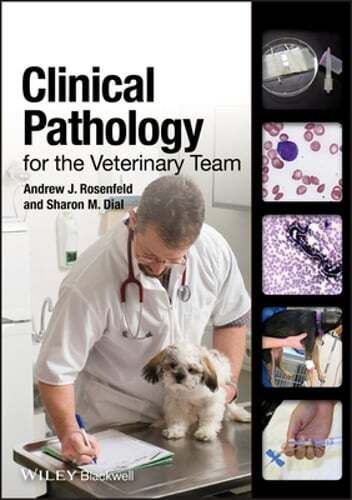 Clinical Pathology for the Veterinary Team by Andrew J Rosenfeld: New
