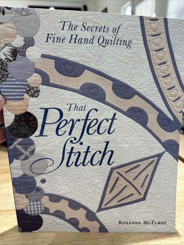 That Perfect Stitch Paperback Roxanne McElroy