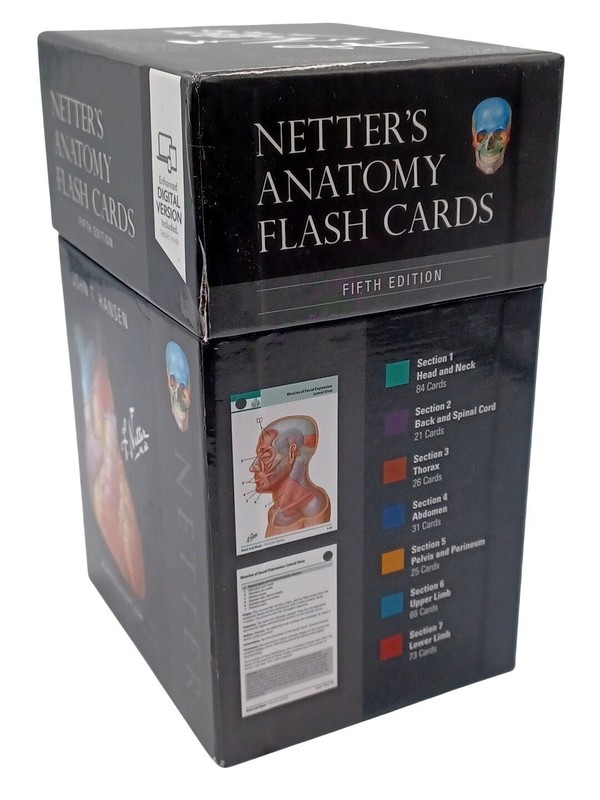 Netter’s Anatomy Elsevier Medical Study Flash Cards 5th Edition by John T Hansen