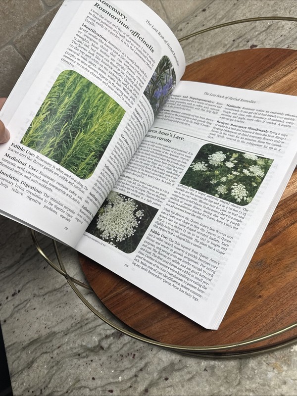 Lost Book Of Herbal Remedies: Healing Power Plant Medicine Apelian & Davis gallery