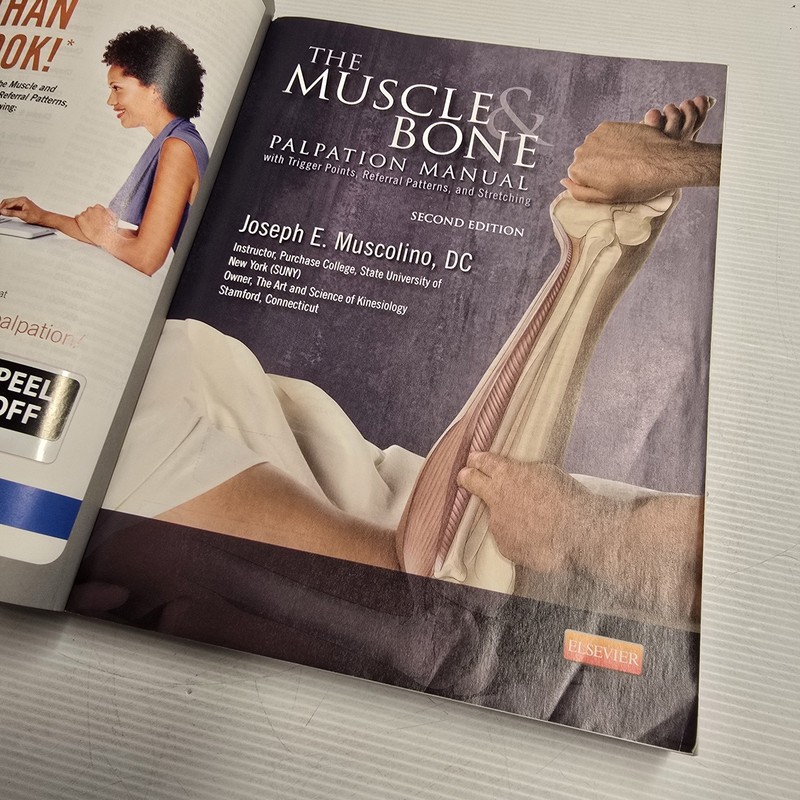 The Muscle & Bone Palpation Manual Second Ed Muscolino Anatomy Physiology gallery
