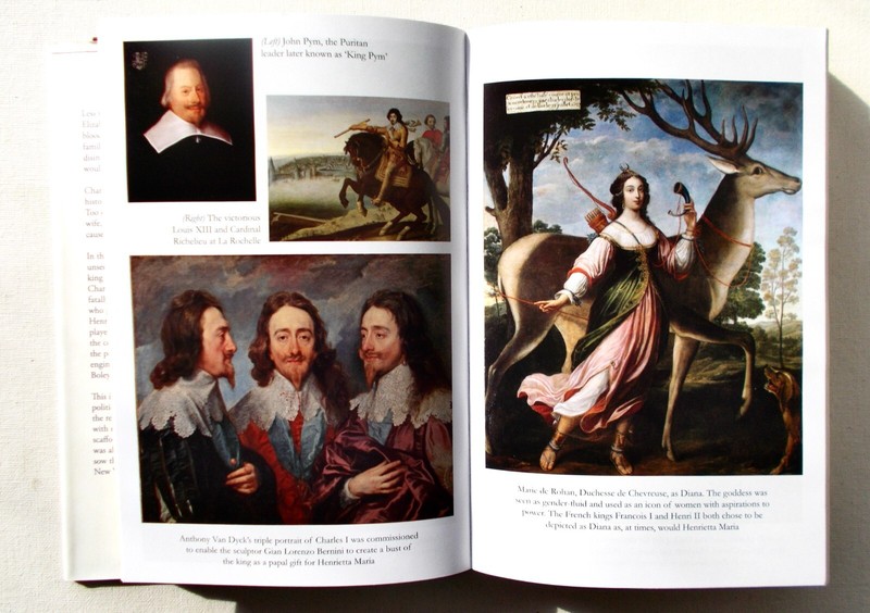 White King. Hardback Copy. Free Postage. gallery