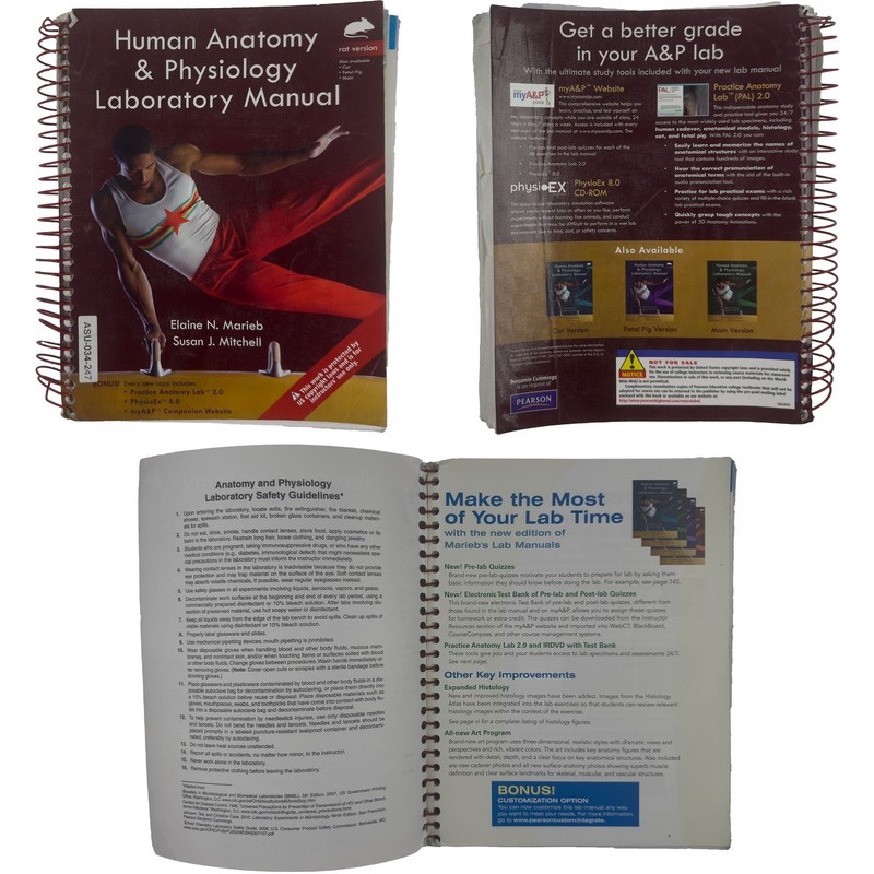 2011 Human Anatomy & Physiology Laboratory Manual Rat Version Marieb Mitchell