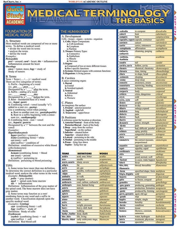 Medical Terminology: The Basics: Tri-Fold Laminated Reference Guide Brand New! gallery
