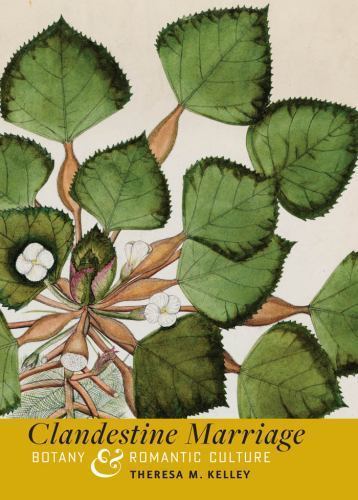 Clandestine Marriage : Botany and Romantic Culture, Hardcover by Kelley, Ther…