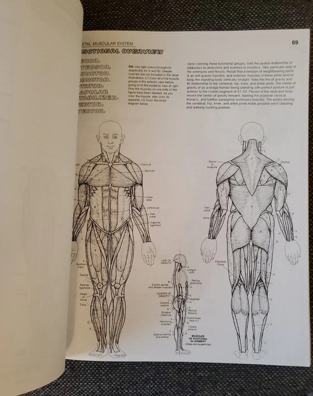 The Anatomy Coloring Book by Wynn Kapit / Lawrence M. Elson [English] Pearson gallery