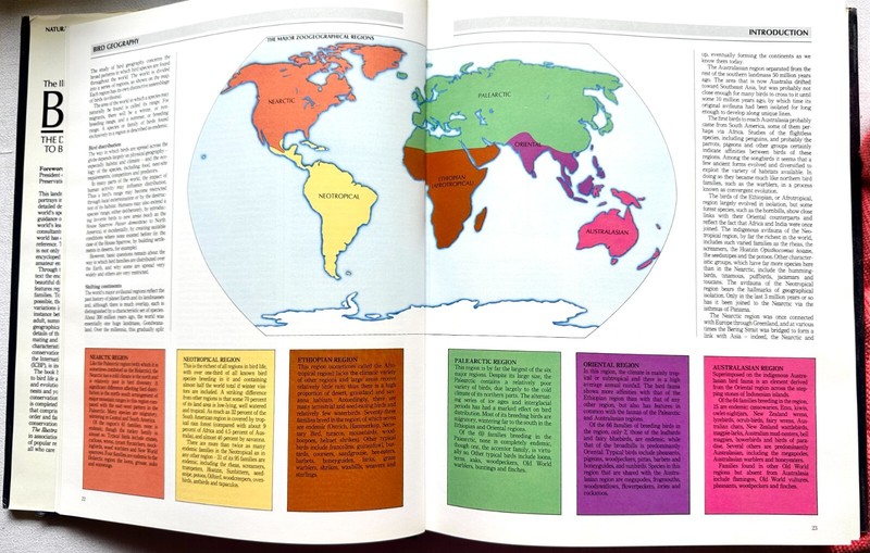 The Illustrated Encyclopedia -The Definitive Reference to Birds of the World gallery
