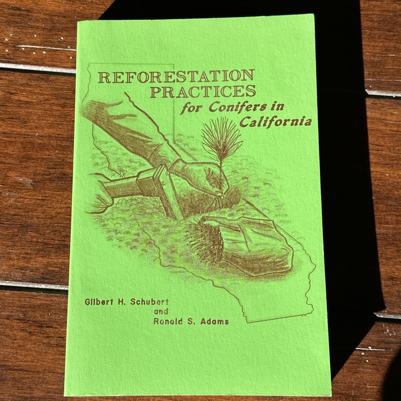 Reforestation Practices For Conifers In California 1971 Forestry Conservation