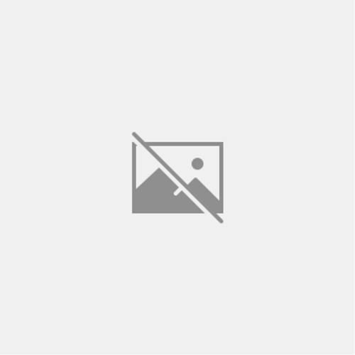 Reason and Responsibility: Rea – ACCEPTABLE