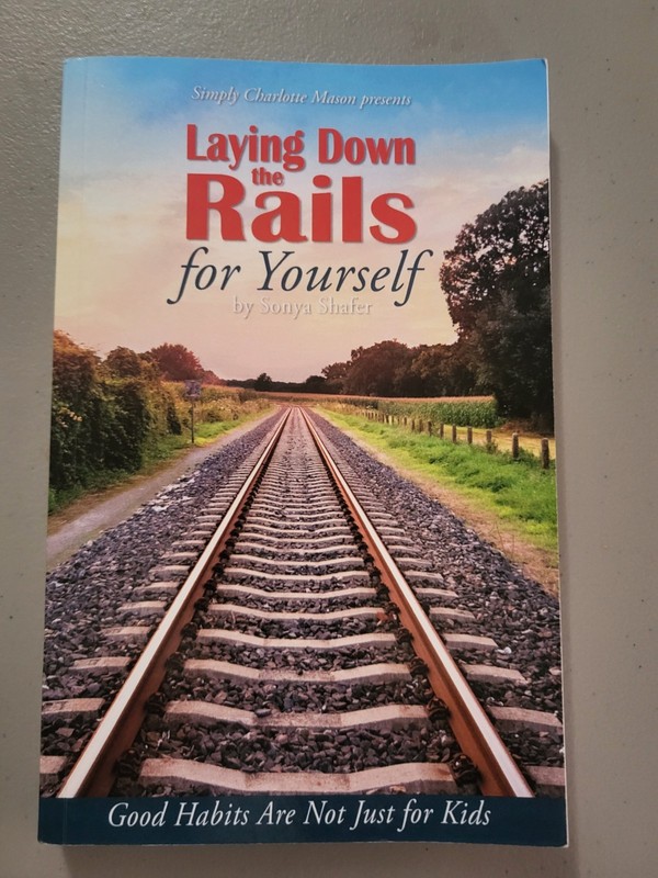 Laying Down the Rails for Yourself by Sonya Shafer gallery