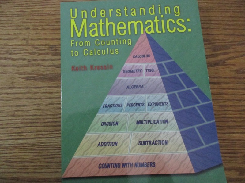 Understanding Mathematics: From Counting to Calculus