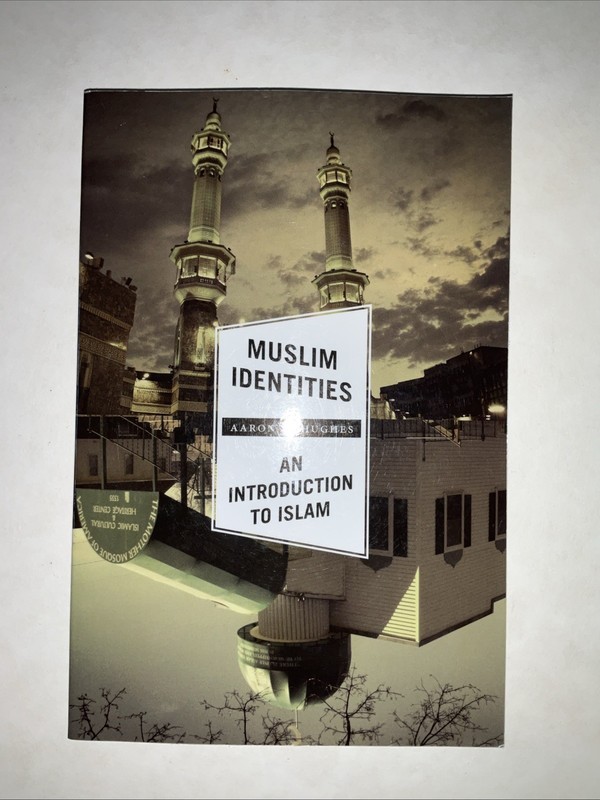 Muslim Identities : An Introduction to Islam by Aaron Hughes (2013, Trade…