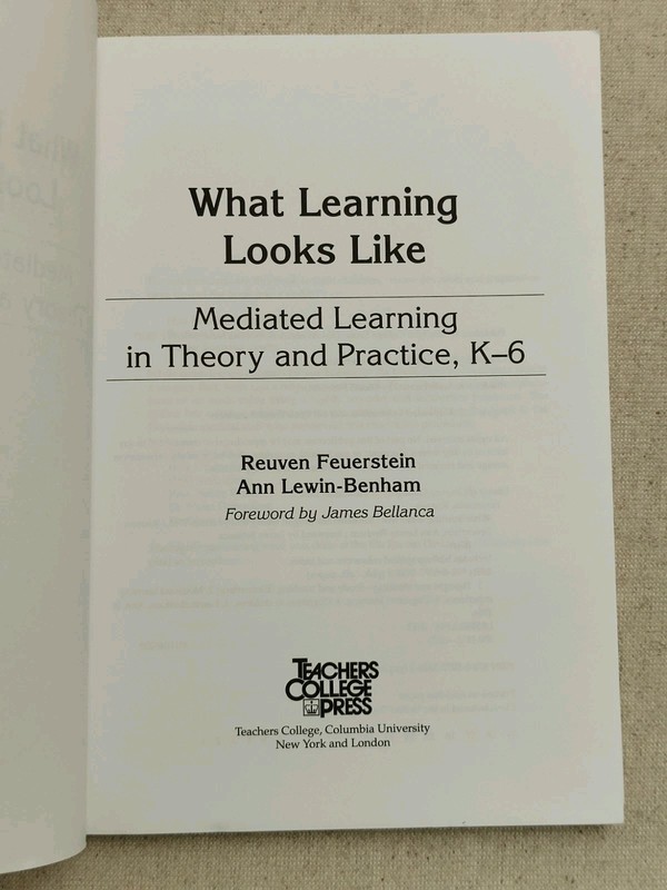 What Learning Looks Like Mediated Theory and Practice K-6 Classrooms Museums. gallery