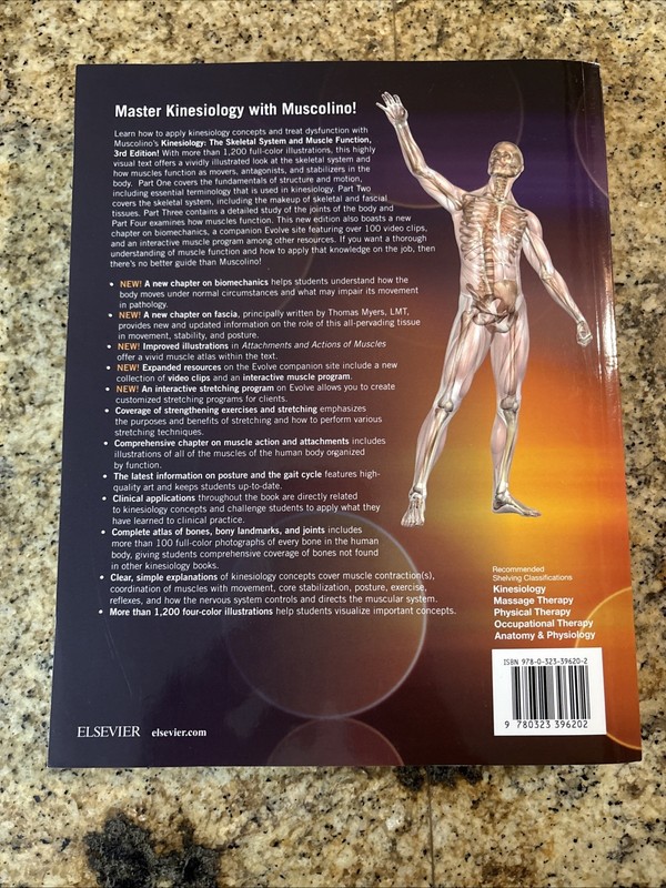 Kinesiology : The Skeletal System and Muscle Function by Joseph E. Muscolino... gallery