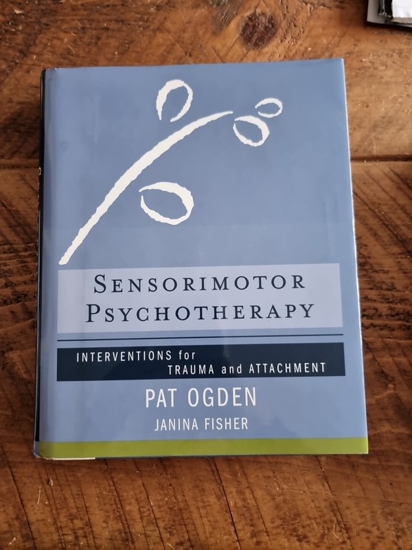 Sensorimotor Psychotherapy: Interventions for Trauma and Attachment by Fisher