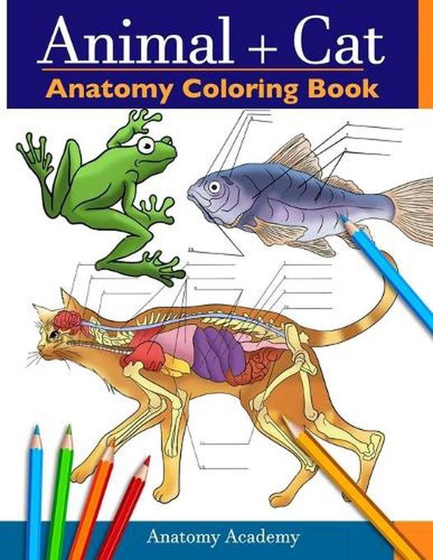 Animal & Cat Anatomy Coloring Book: 2-in-1 Compilation Incredibly Detailed Self-