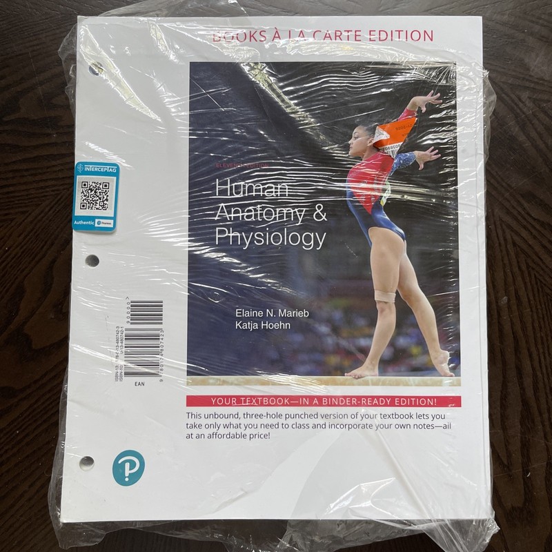 Human Anatomy and Physiology 11th Edition by Elaine N. Marieb and Katja Hoehn