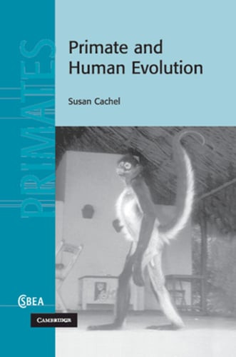 Primate and Human Evolution by Susan Cachel: New