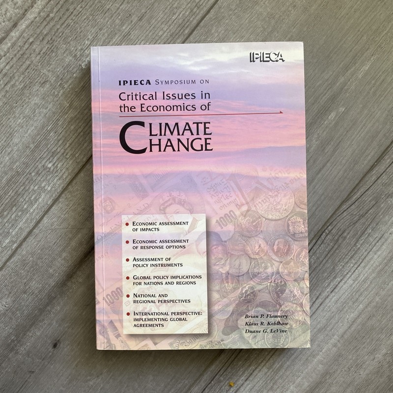 Critical Issues In The Economics Of Climate Change