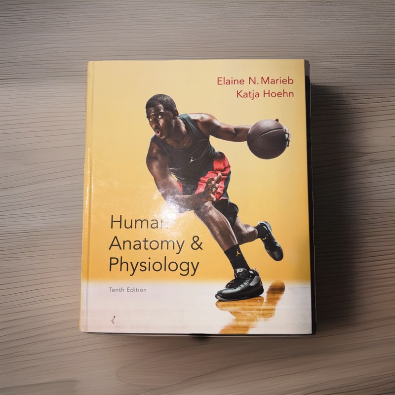 Human Anatomy & Physiology Tenth Edition Hardcover by Marieb & Hoehn Pearson