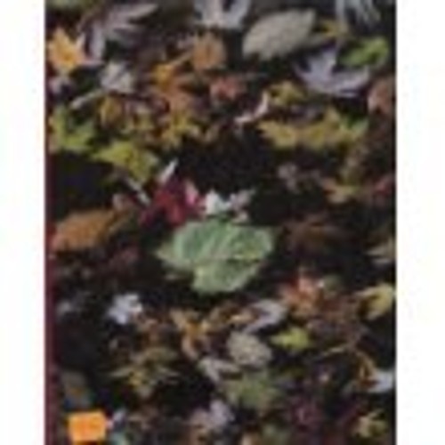Philosophy : A Text with Readings Paperback Manuel Velasquez