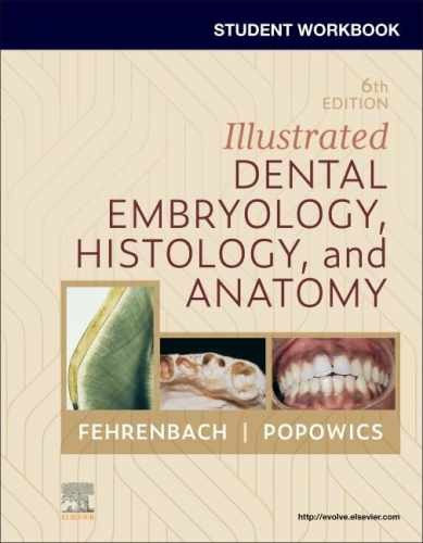 Student Workbook for Illustrated – Paperback, by Fehrenbach RDH MS – New s