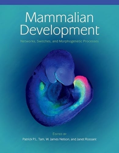 Mammalian Development: Networks, Switches, and Morphogenetic Processes by Tam